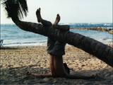 Andy On a Tree