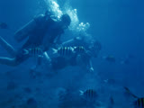Underwater