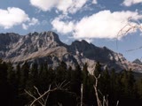 Tree Mountain
