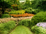 Butchart Gardens