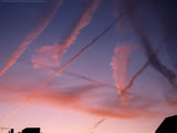 Contrail